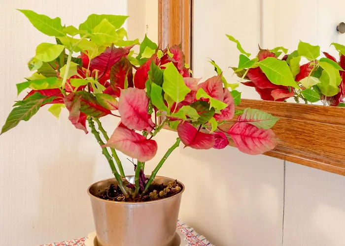 Apartamento Touques Rives-5 By Interhome *